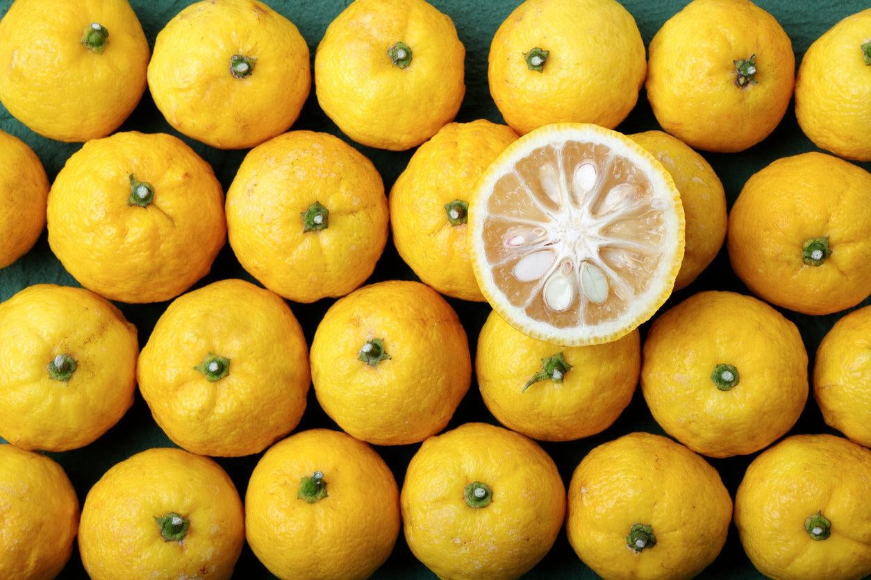 Flavor of the Week: Yuzu, a unique citrus hybrid