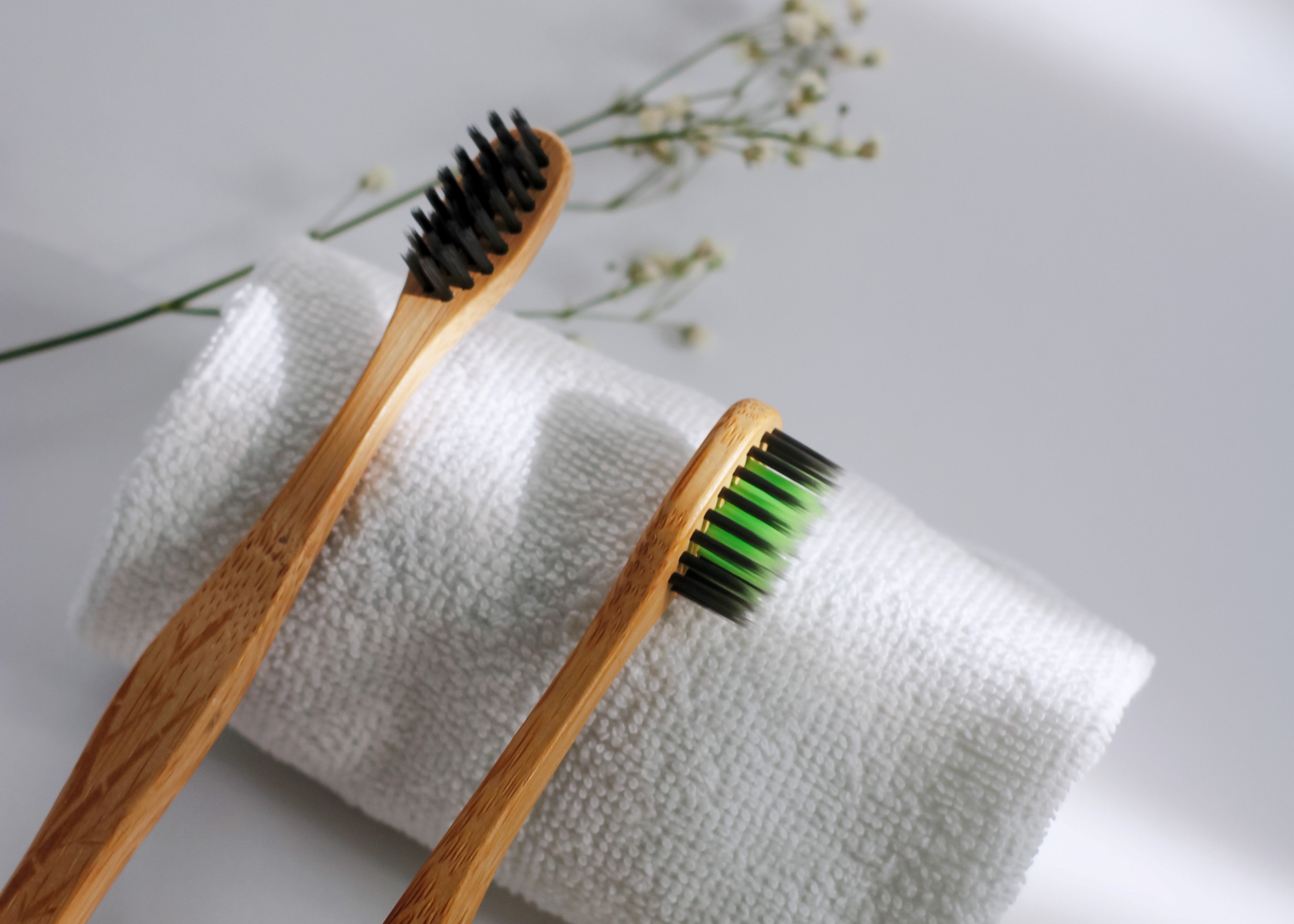 Buy Japanese Oral Care Products Online Japanese Taste