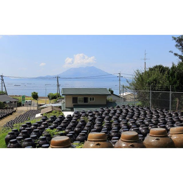 Fukuyamasu Shoga Kurozu Ginger Seasoned Aged Black Rice Vinegar 200ml