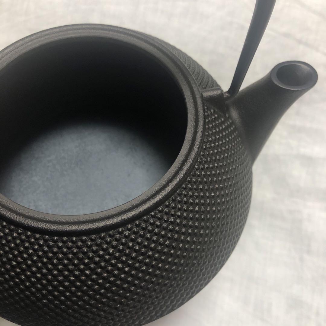 Iwachu cast iron choshi (sake warming) kettle