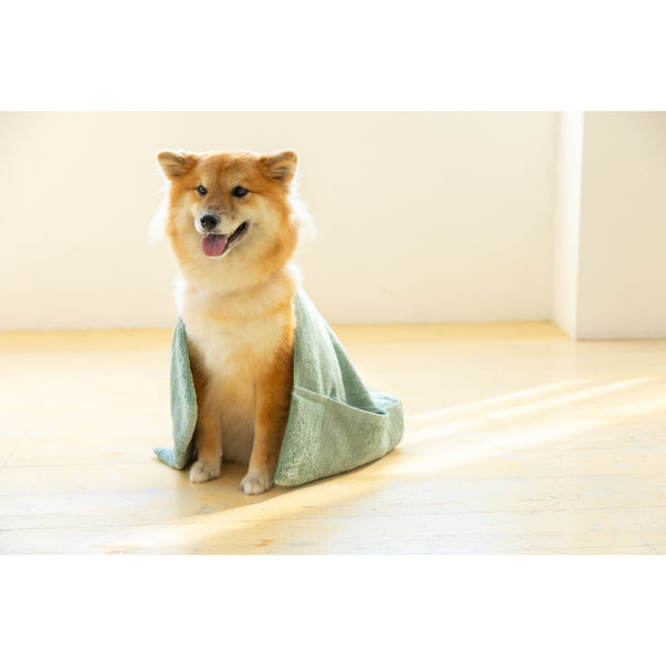 Jogan Pet Towel Super Absorbant Bath Towel for Pets Green 34×78cm
