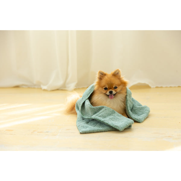 Jogan Pet Towel Super Absorbant Bath Towel for Pets Green 34×78cm