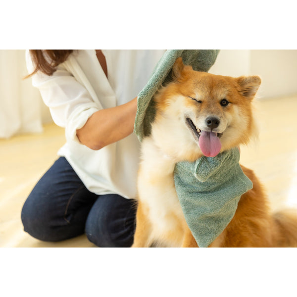 Jogan Pet Towel Super Absorbant Bath Towel for Pets Green 34×78cm