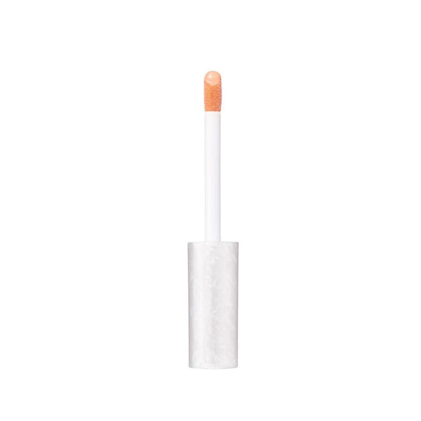 Kiss Point Camouflage Color Corrector & Concealer 8g