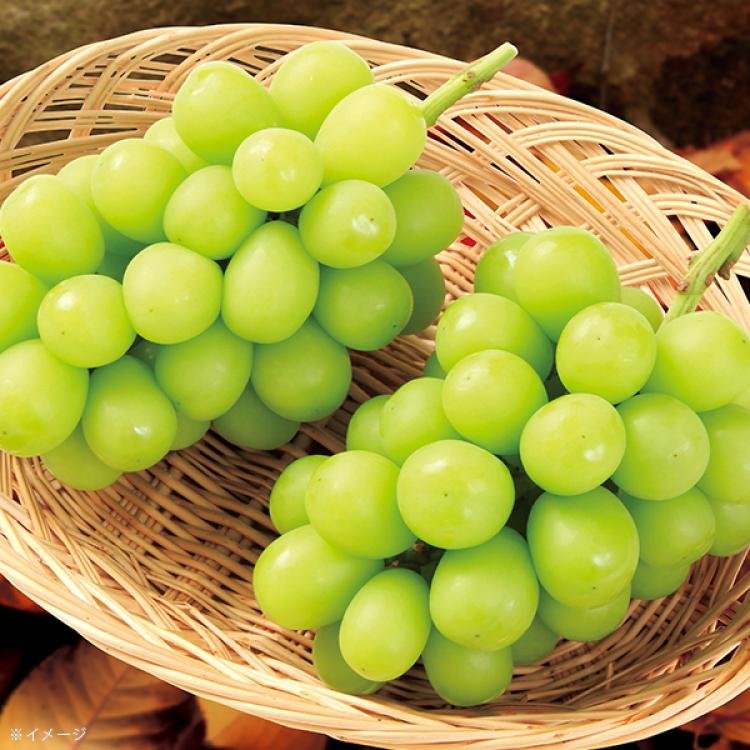 muscatページ Lion Japanese Shine Muscat Grape Functional Hard Candy 71g