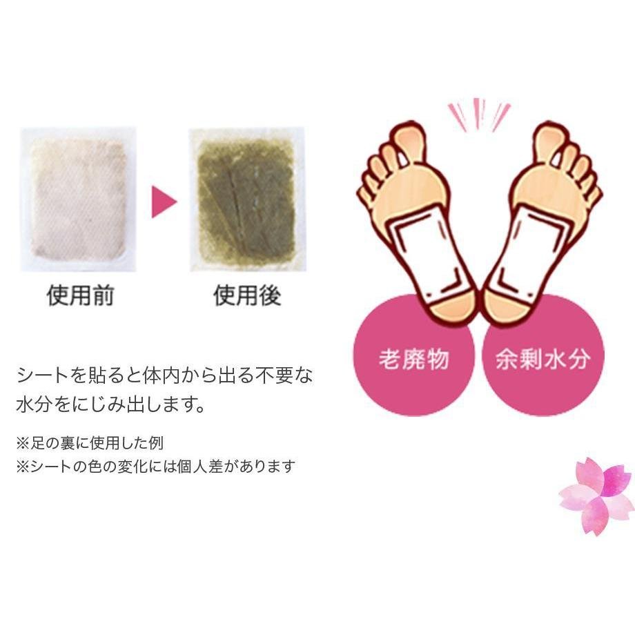 ASHIRIRA -- Feuille de pied mugwort (30P)