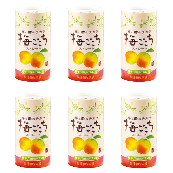 Tokiwa Ume Flavored Japanese Drinking Vinegar Premix Drink 125ml (Pack of 6)