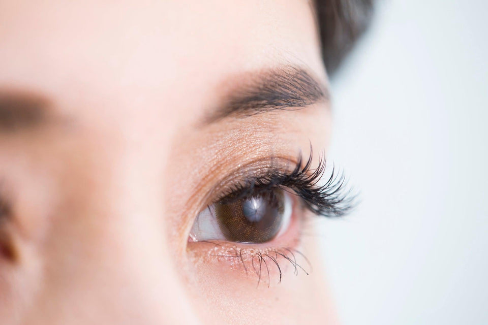 10 Best Japanese Mascaras For Long, Curvy, & Dramatic Lashes – Japanese ...