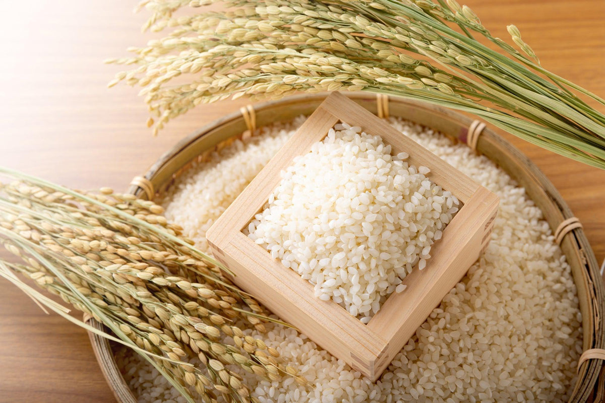 Japanese Fresh Rice Everything You Need To Know About Japanese Rice