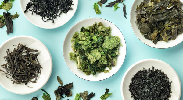 An Introduction to Japanese Seaweed: Different Varieties and Health Benefits-Japanese Taste