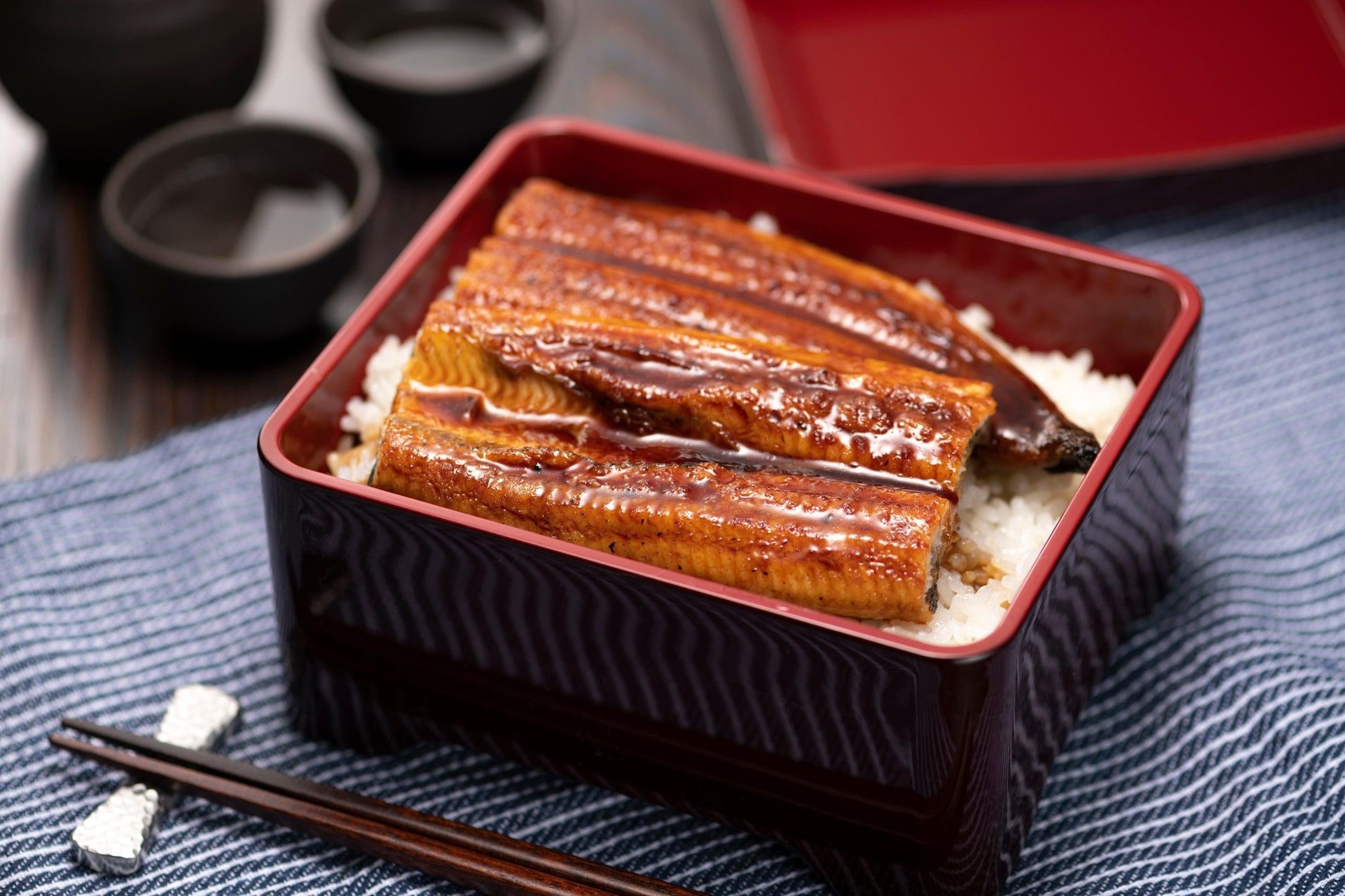 Diving Into The World Of Unagi A Guide To This Japanese Eel