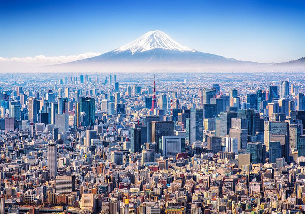 Planning A Trip to Japan: The Smart Traveler’s Guide