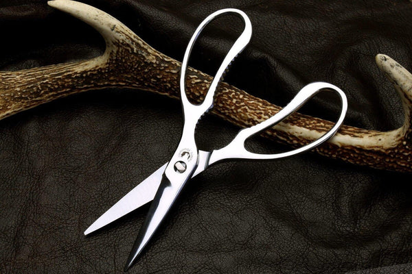 https://int.japanesetaste.com/cdn/shop/articles/the-best-japanese-kitchen-scissors-and-what-to-look-for-when-buying-them.jpg?v=1685798726&width=600