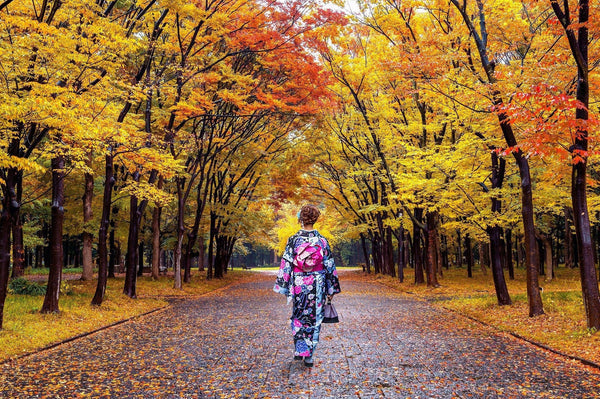 The Top 10 Places To See Autumn Leaves In Tokyo Japanese Taste