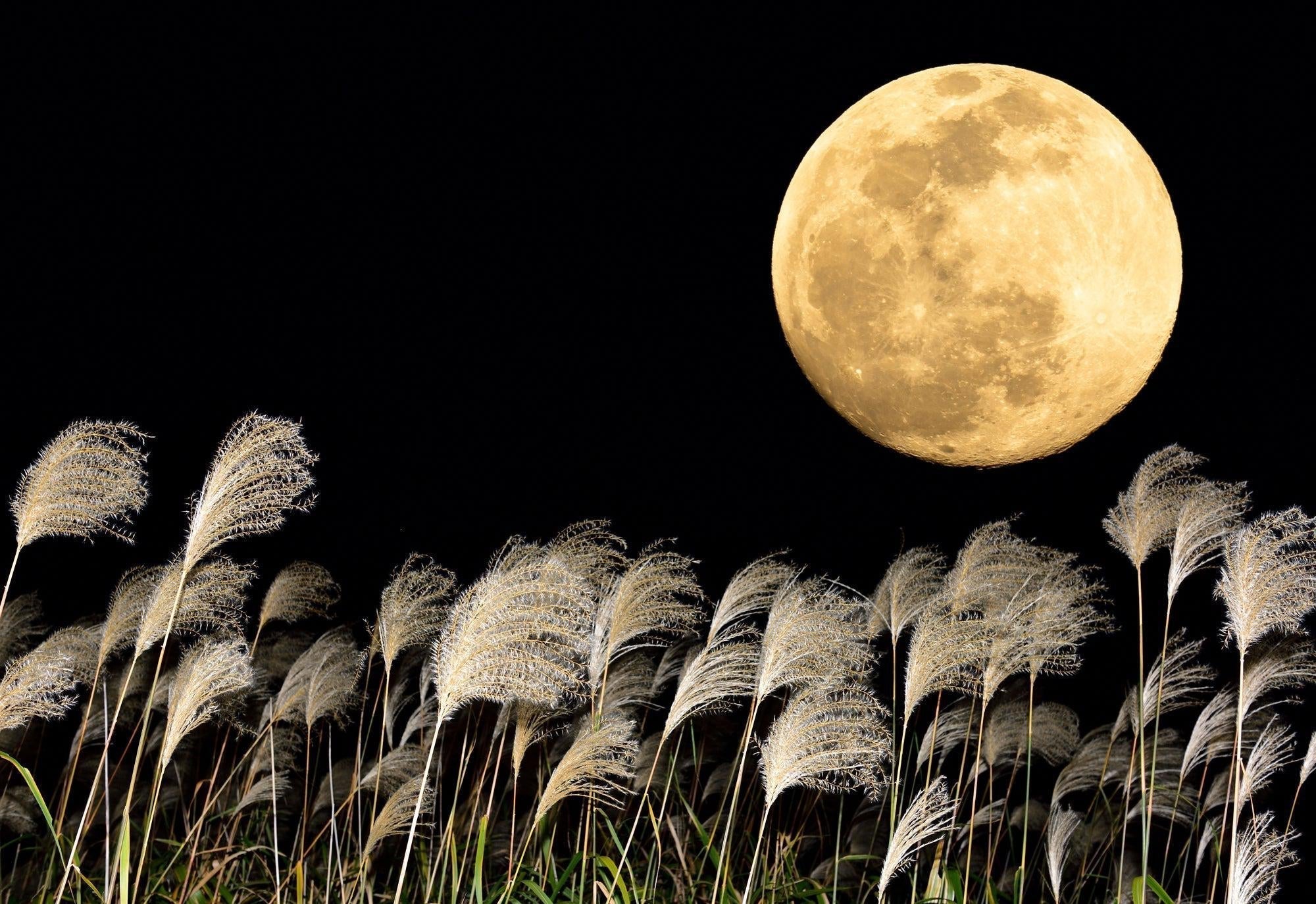 Tsukimi: Japan’s Mid-Autumn Festival Promises The Moon