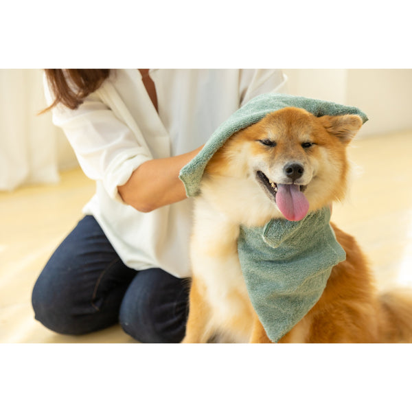 Jogan-Pet-Towel-Super-Absorbant-Bath-Towel-for-Pets-Green-34×78cm-7-2024-07-16T00:42:59.895Z.jpg