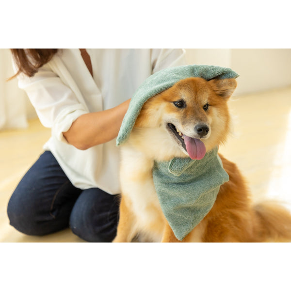 Jogan-Pet-Towel-Super-Absorbant-Bath-Towel-for-Pets-Green-34×78cm-9-2024-07-16T00:42:59.895Z.jpg