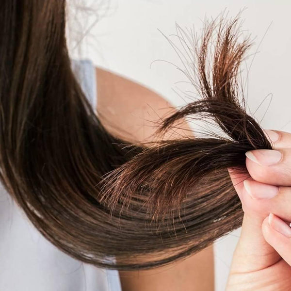 Lux Super Rich Shine Damage Repair Shampoo 400g