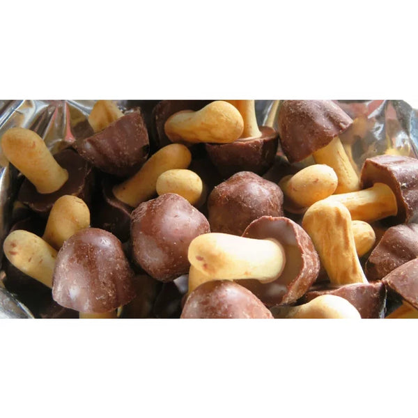 Meiji-Kinoko-No-Yama-Mushroom-Shaped-Chocolate-Biscuit--Pack-of-10--2-2023-12-06T04:54:58.436Z.webp
