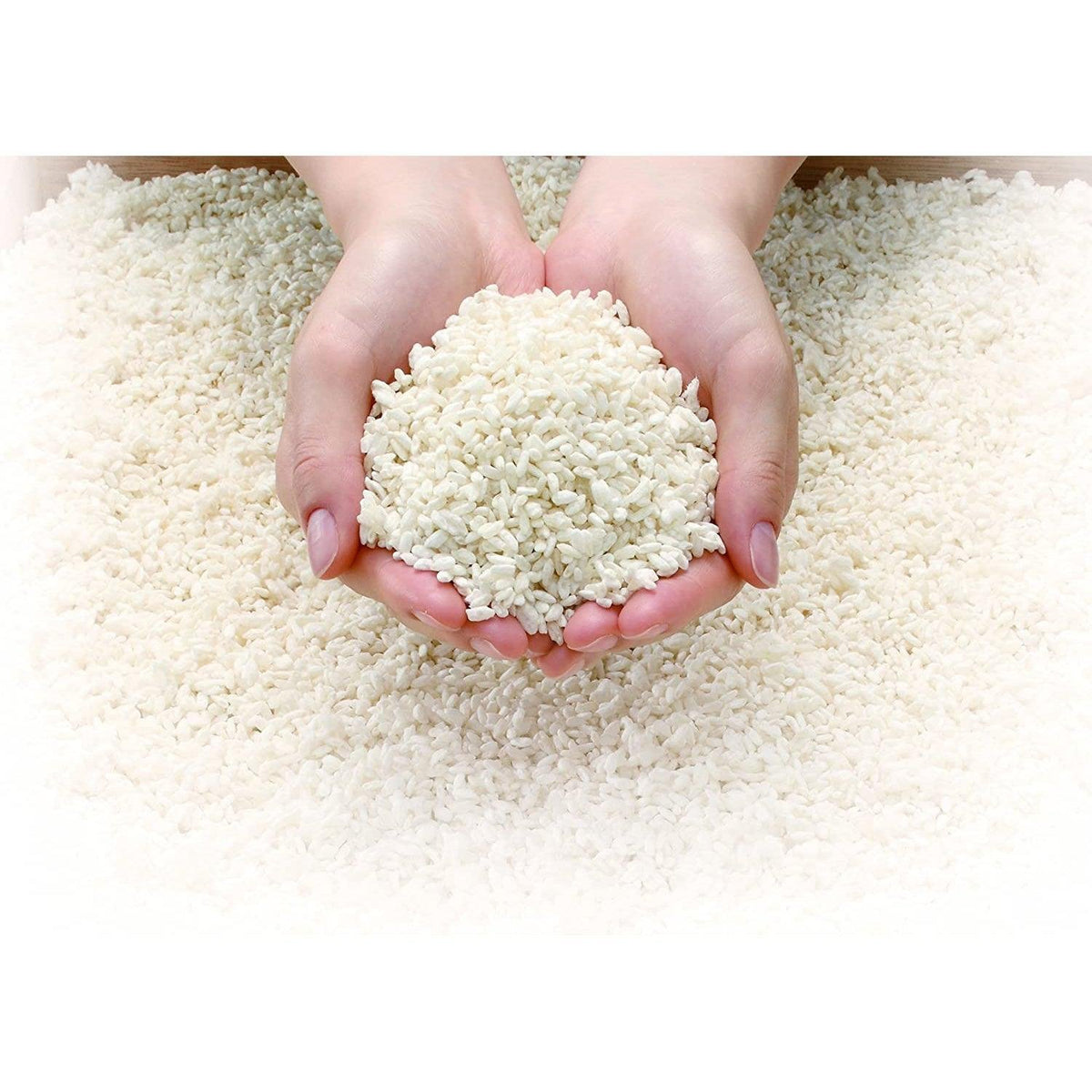 Marujo Rice Marukome Plus Koji Dried Malted Rice for Amazake Rice Drink 100g