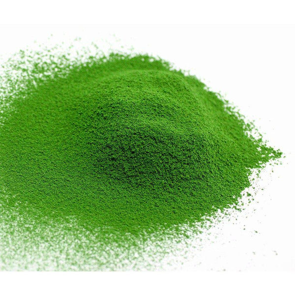 Marukyu Koyamaen Tenjyu Extra Premium Uji Matcha Powder (Japanese Green Tea Powder) 40g
