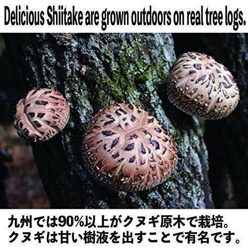 P-4-SGI-SHITAK-70-Sugimoto Dried Organic Japanese Shiitake Mushrooms 70g.jpg