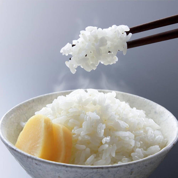 Pickled Daikon Radish Additive-Free Takuan Whole Stick 1 Piece