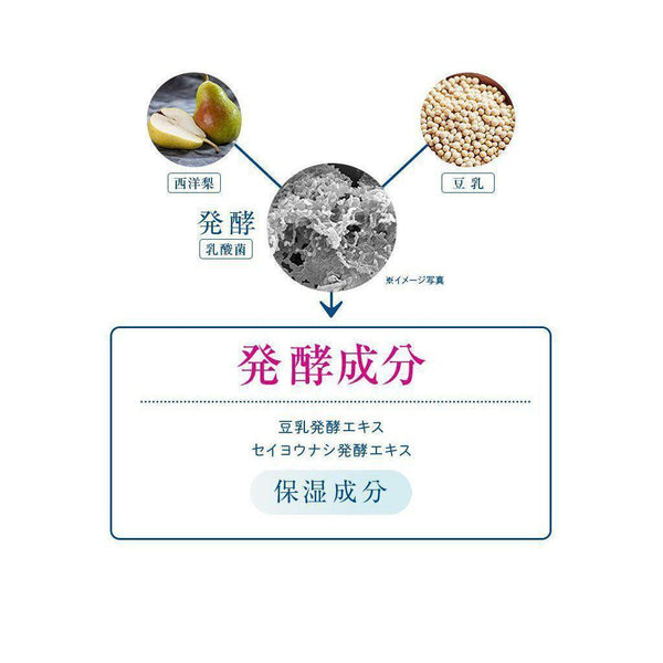 Kanebo Suisai Skin Care Lotion II Moist 150ml-Japanese Taste
