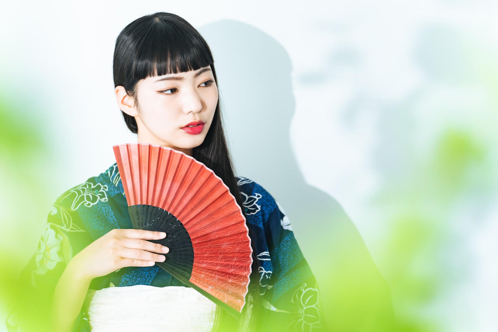 Bring The Best Of Japan To Your Home