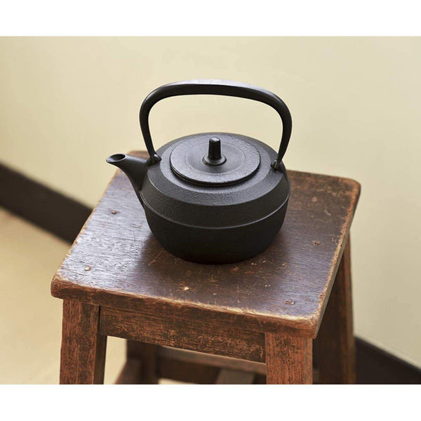 Cast Iron Teapot: Discover the Japanese Tetsubin