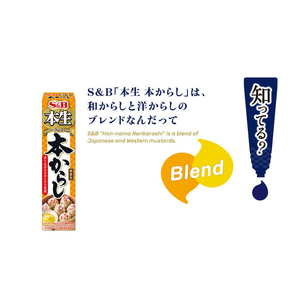 S&B Karashi Sauce Japanese Mustard Paste Tube 43g, Japanese Taste