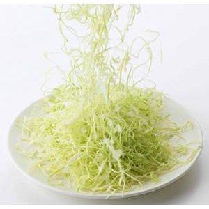 Shimomura Cabbage Slicer 35950 Shredder Grater Cutter Vegetable Made in  Japan